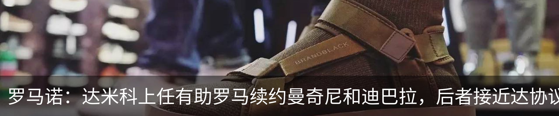 最新动态