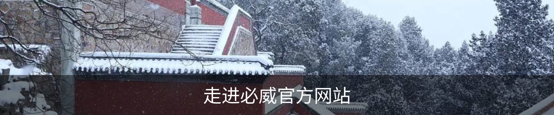 走进必威官方网站
